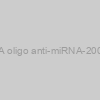 AXMIR-200c RNA oligo anti-miRNA-200c-3p with Xmotif
